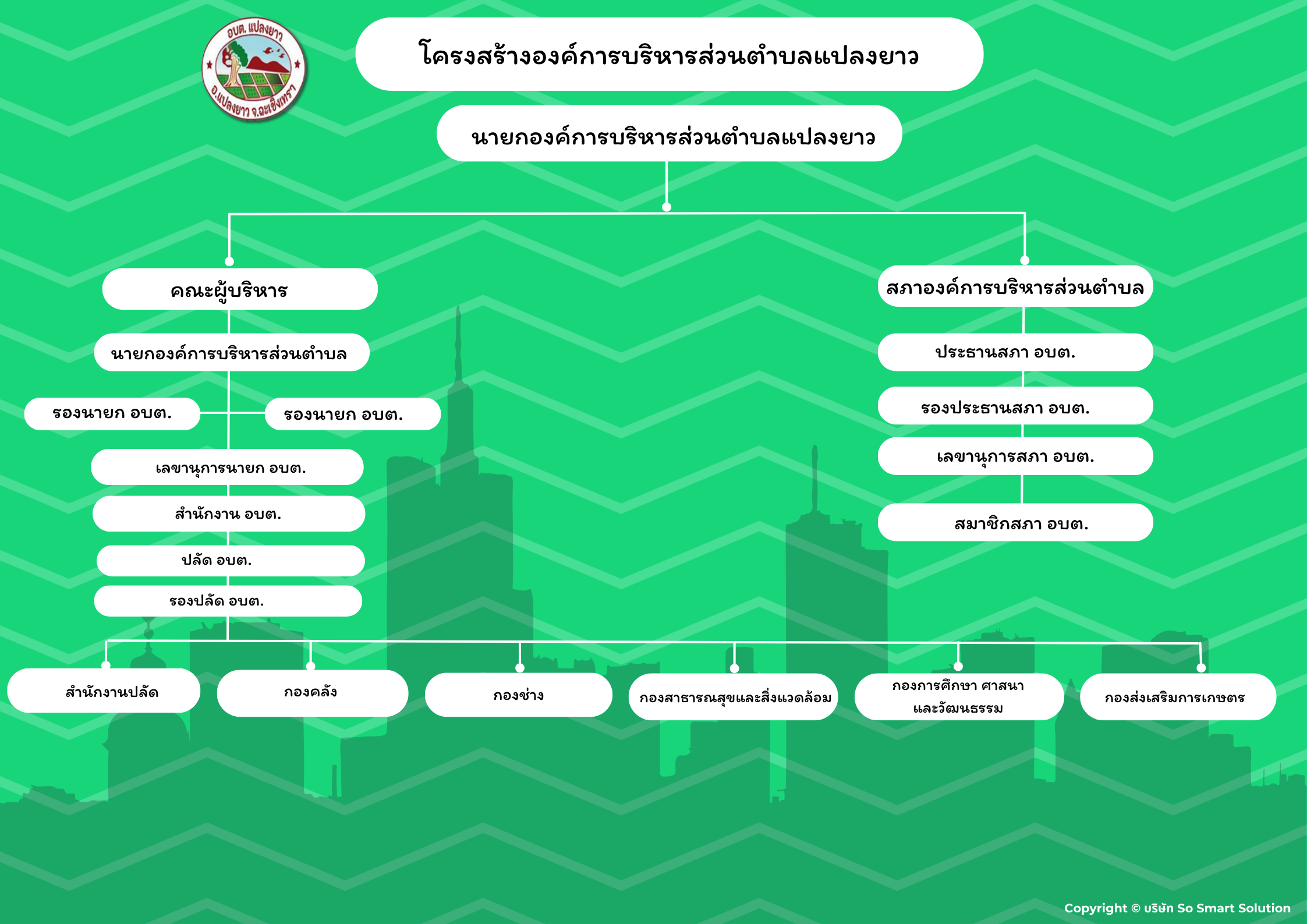 โครงสร้างองค์กร 1